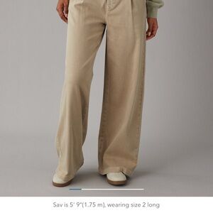 American Eagle Outfitters Tan Wide-Leg Pants
